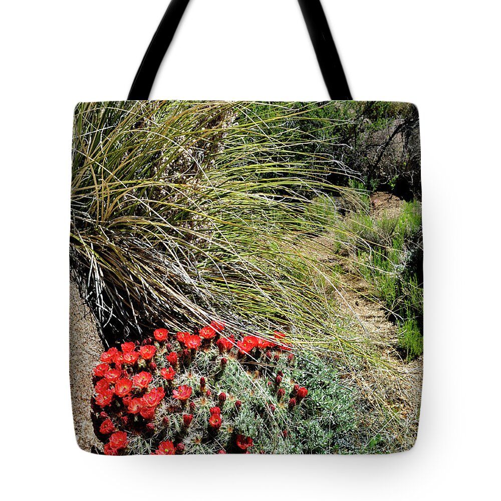 Landscape Tote Bag featuring the photograph Crimson Barrel Cactus by Ron Cline