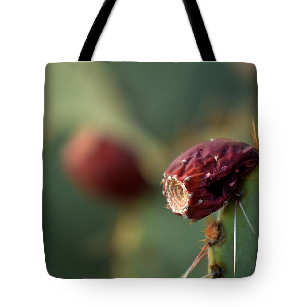 Macro Tote Bag featuring the photograph Cactus blossom by Michael McGowan