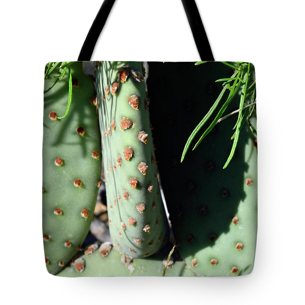 Park Tote Bag featuring the photograph Cactus Closeup with Pine Needles by Bruce Gourley