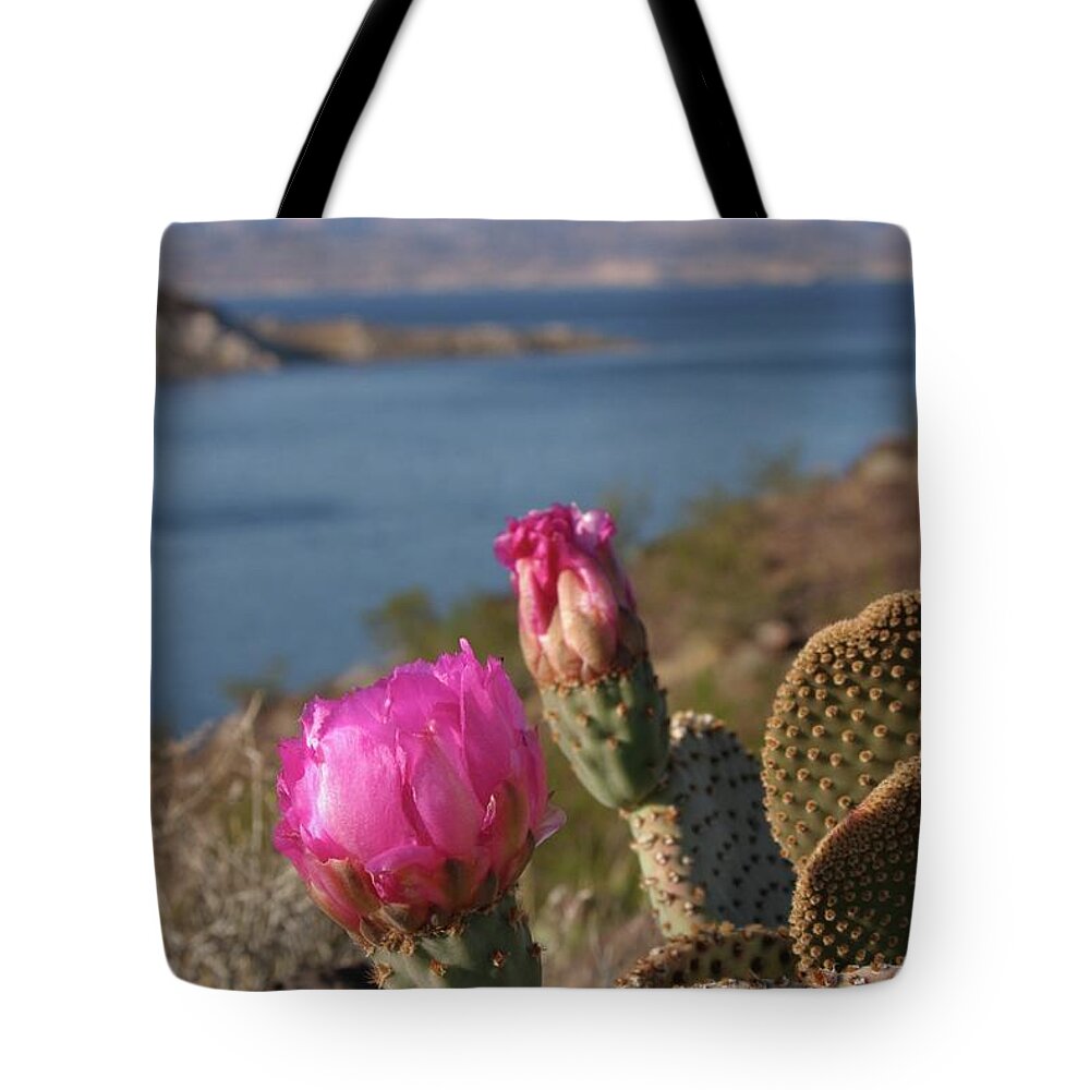 Cactus Tote Bag featuring the photograph Cactus Flower by Jeff Floyd CA