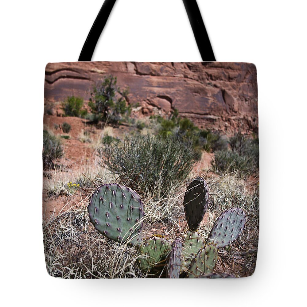 Delicate Tote Bag featuring the photograph Cactus in Arches Nat'l Park by Jedediah Hohf
