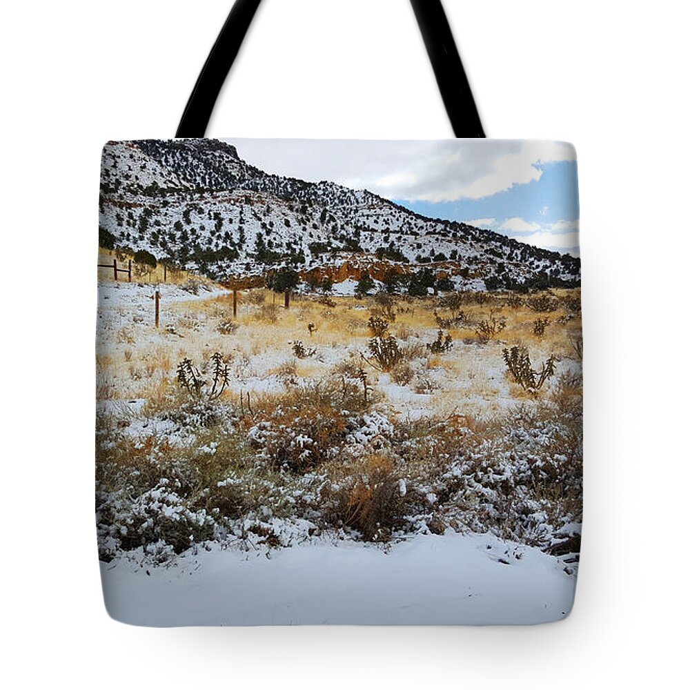 Southwest Landscape Tote Bag featuring the photograph Cactus in the snow by Robert WK Clark
