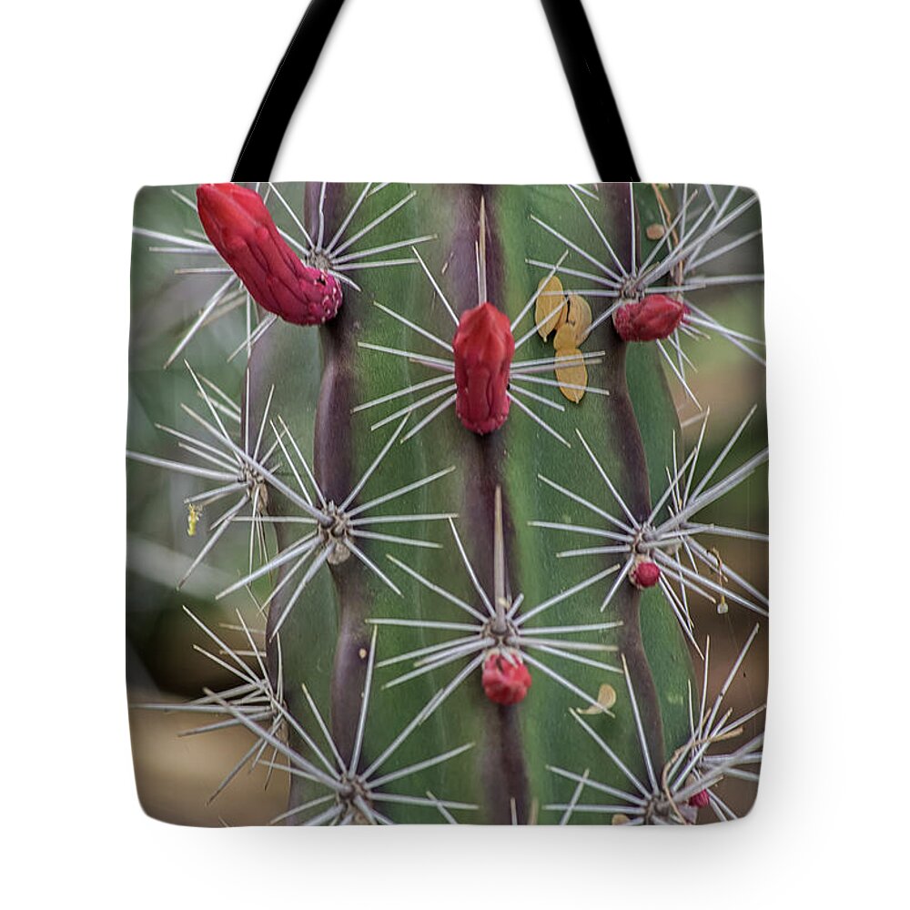 Cactus Tote Bag featuring the photograph Cactus Needles 5930-041118-1 by Tam Ryan