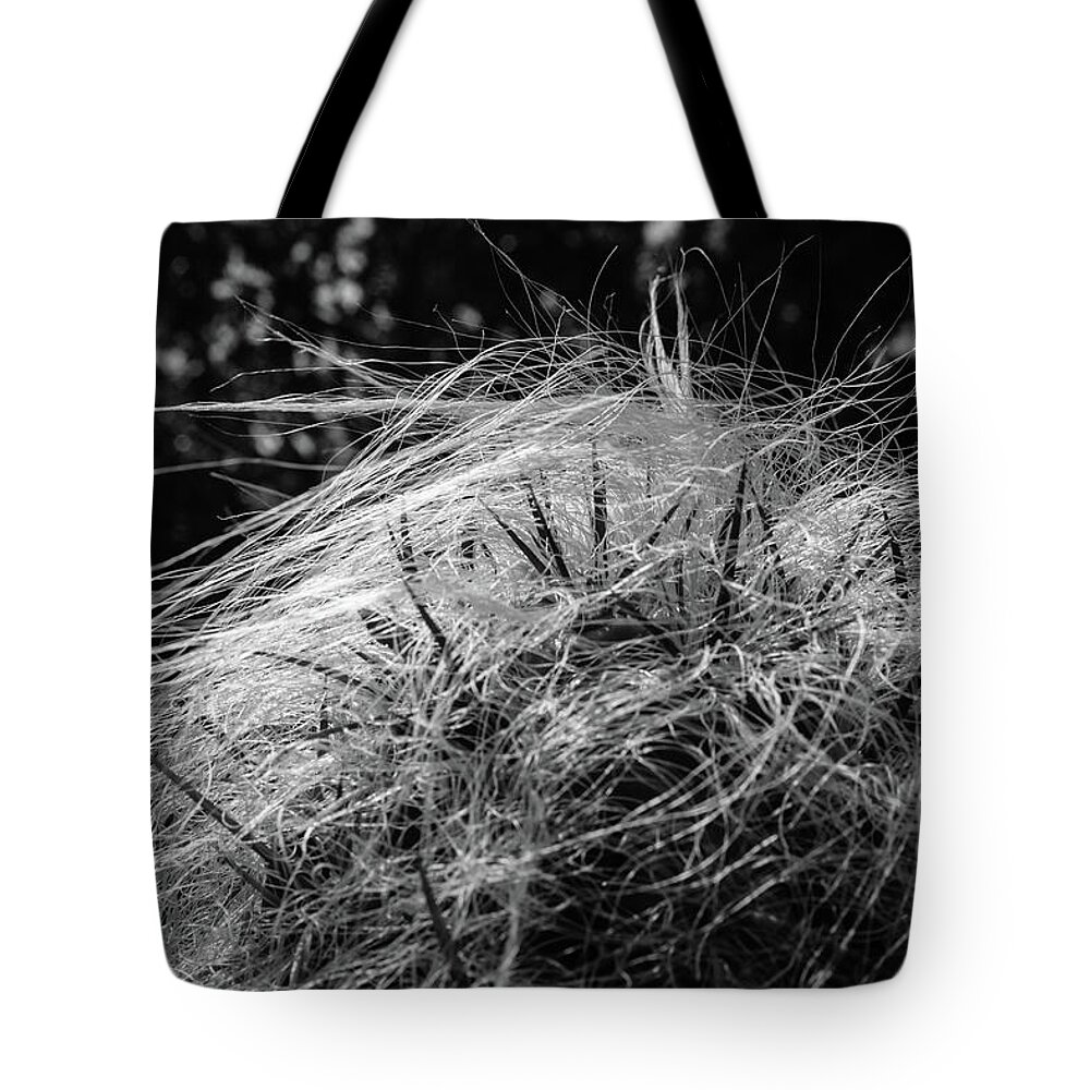 Cactus Tote Bag featuring the photograph Cactus by Ross Henton