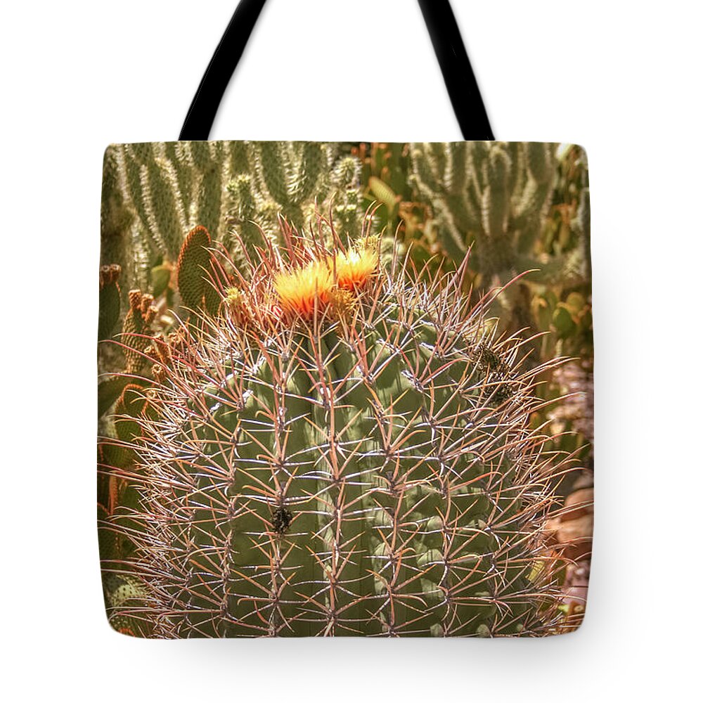 Cactus Tote Bag featuring the photograph Cactus yellowtop by Darrell Foster