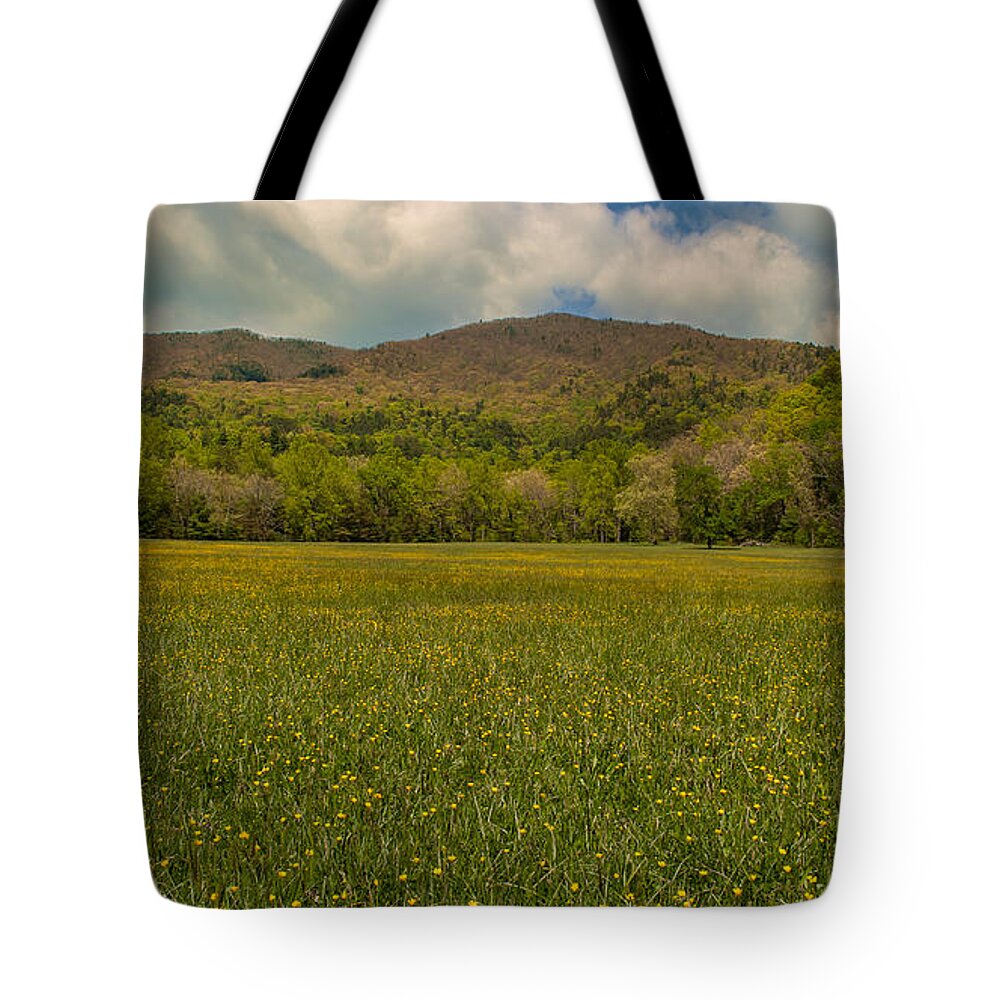 Great Smoky Mountains Tote Bag featuring the photograph Cades Cove Buttercup Field by Brenda Jacobs