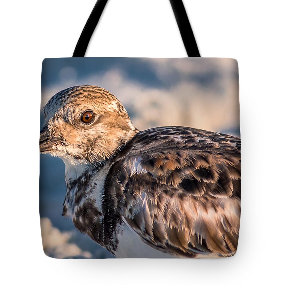 Alba Tote Bag featuring the photograph Calidris alba by Traveler's Pics