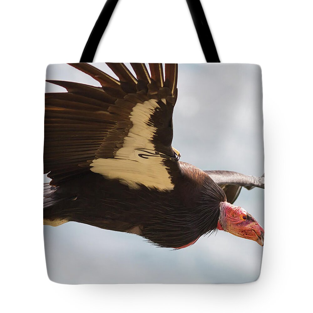 Condor Tote Bag featuring the photograph California Condor at Big Sur by Mark Miller