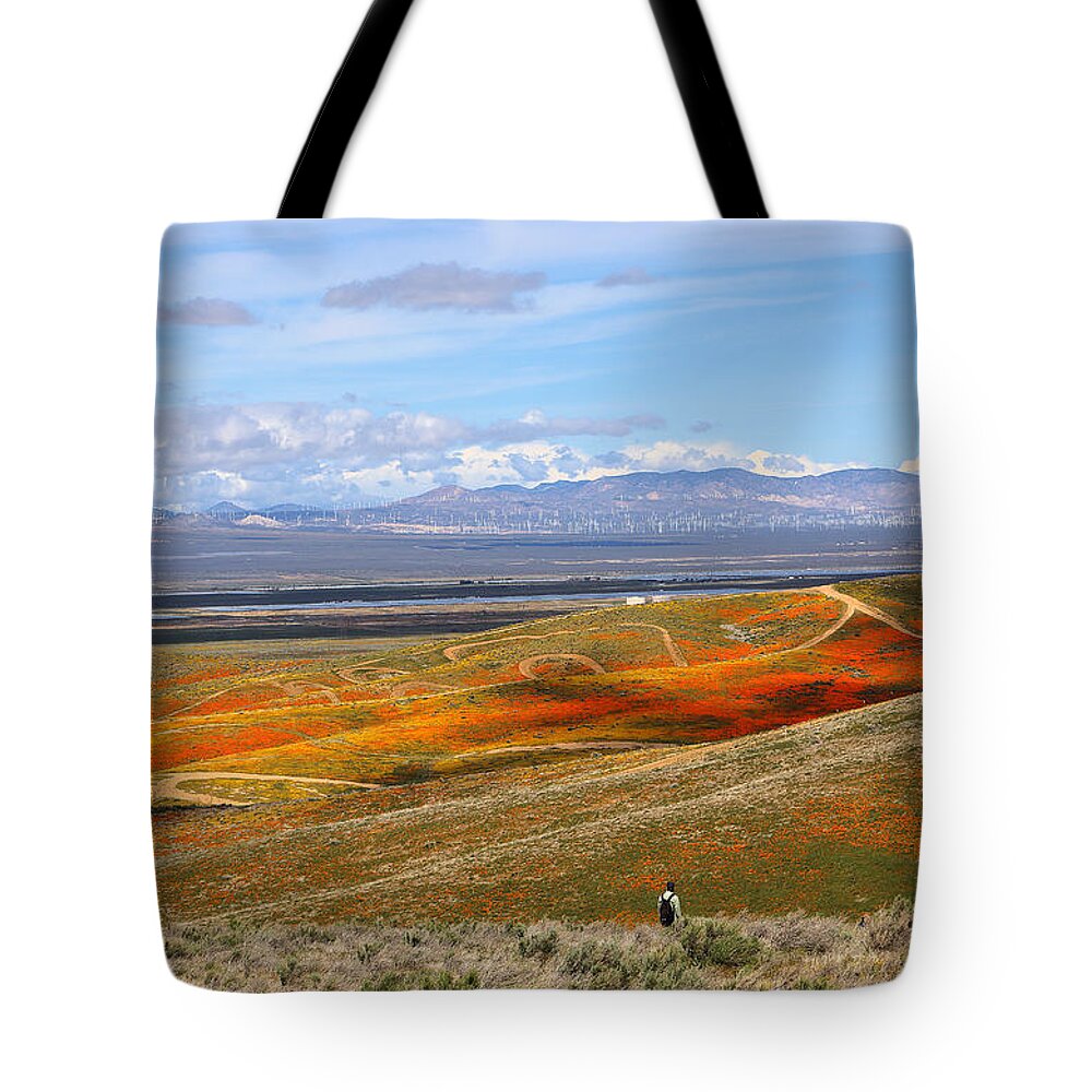 California Poppy Reserve Tote Bag featuring the photograph California Poppy Reserve by Viktor Savchenko