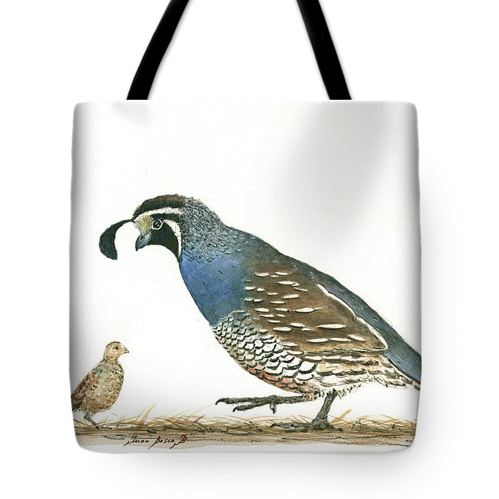 California Quail Tote Bag featuring the painting California quail by Juan Bosco