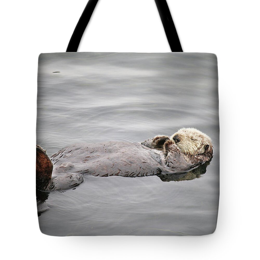 Morro Bay Tote Bag featuring the photograph California Sea Otter by Art Block Collections