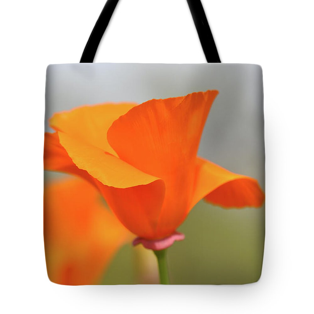 Flower Tote Bag featuring the photograph California State Poppy Macro by Brandon Bourdages