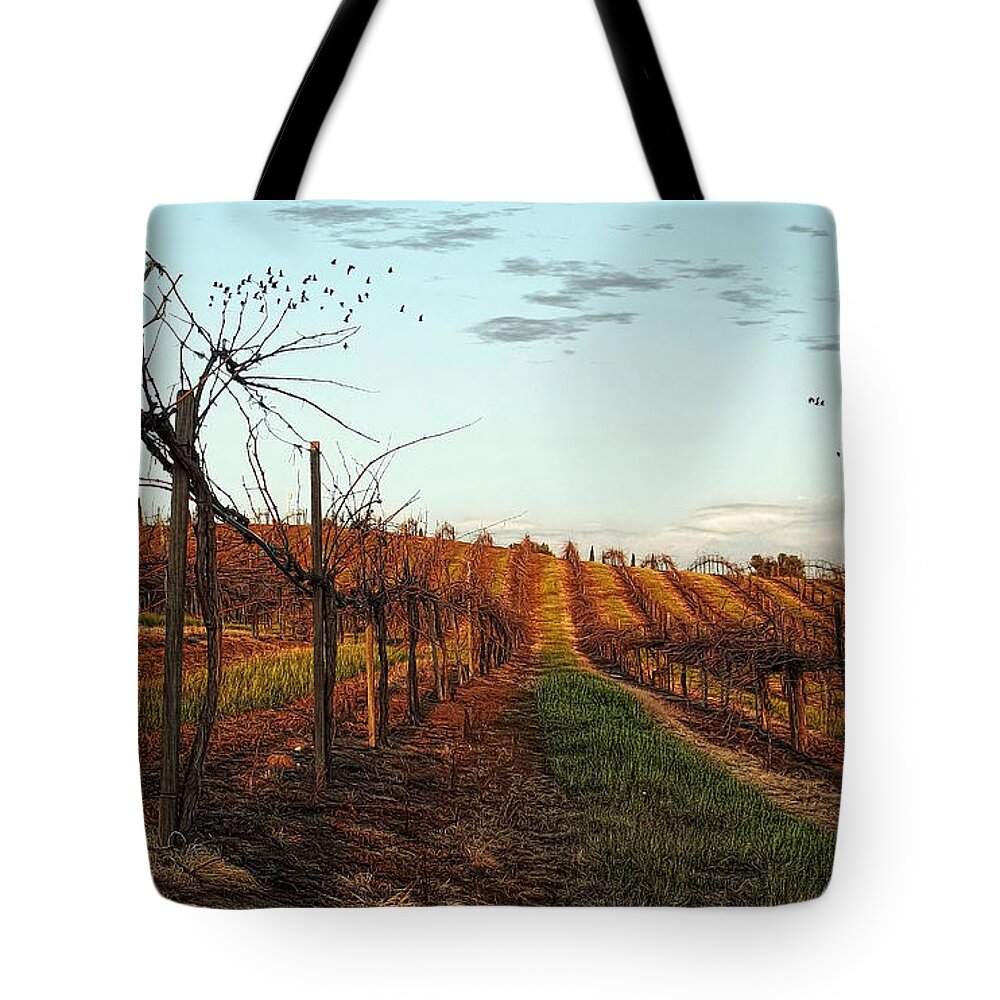 Vineyard Tote Bag featuring the photograph California Vineyard In Winter by Glenn McCarthy Art and Photography