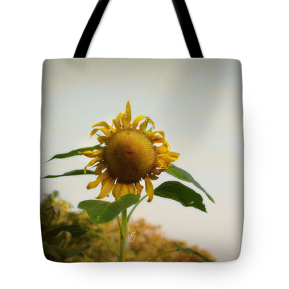 Sunflower Tote Bag featuring the photograph Californian Tuscany by Cindy Garber Iverson