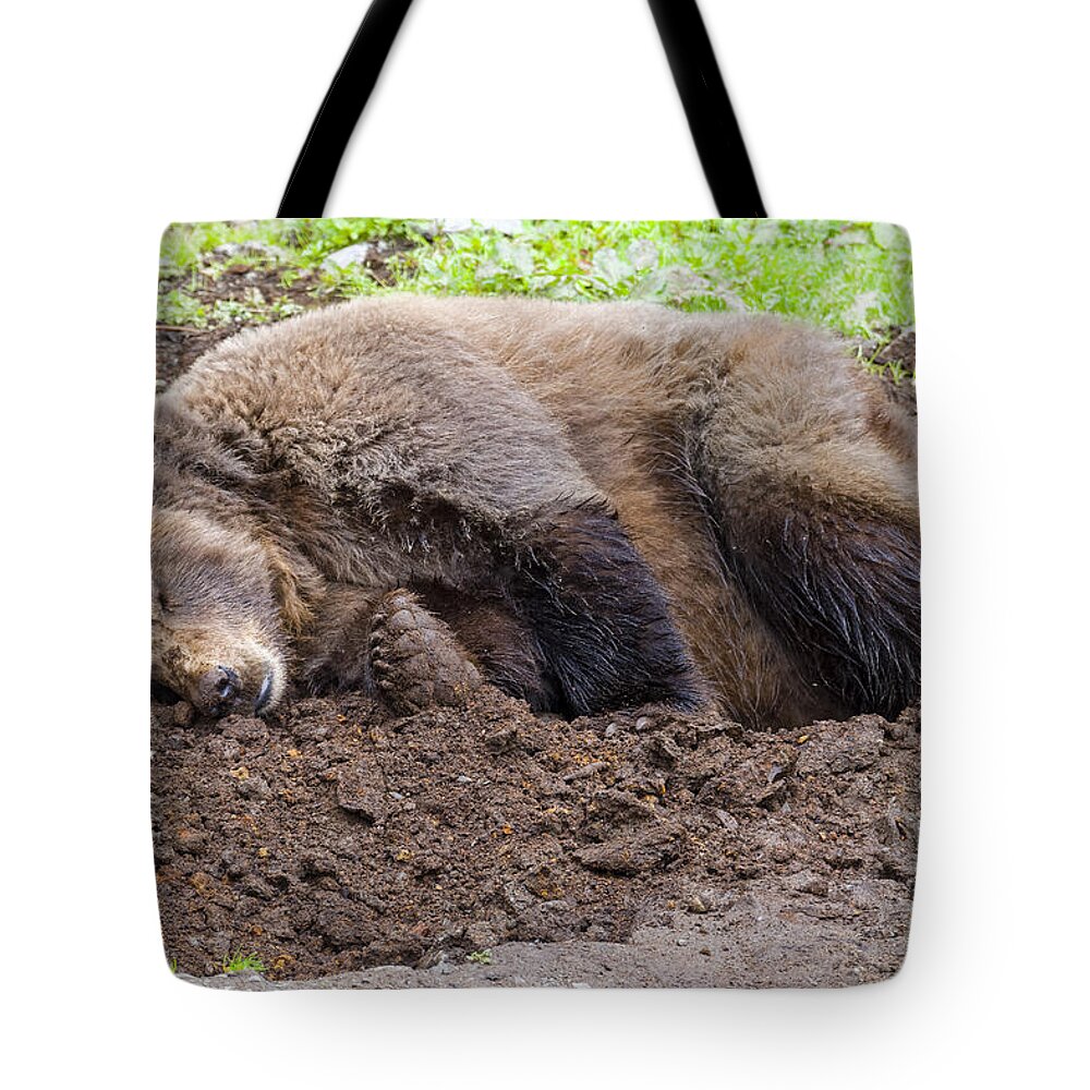 Wildlife. Brown Tote Bag featuring the photograph Call Later by Harold Piskiel