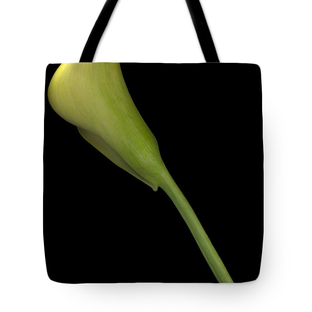 Limited Edition 1/250 Tote Bag featuring the photograph Calla Lily Stem by Heather Kirk