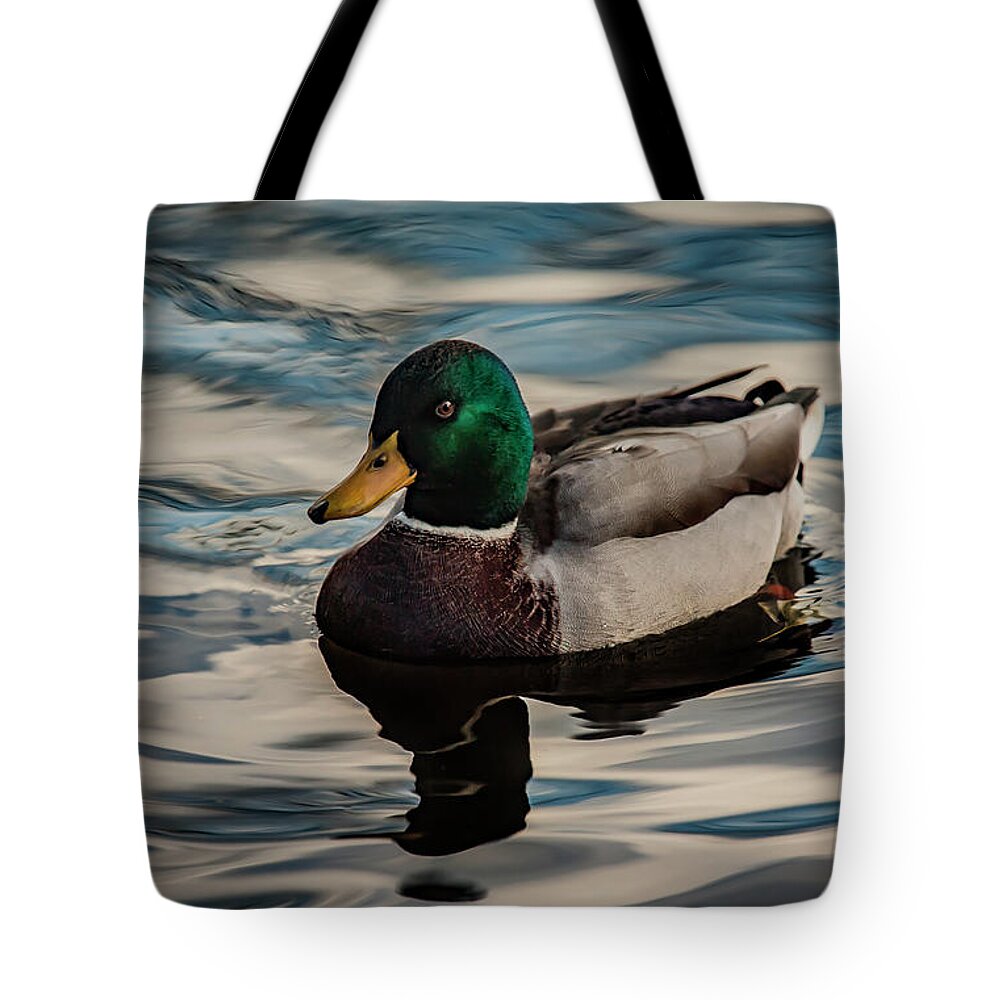 Anas Platyrhynchos Tote Bag featuring the photograph Calm Waters by Ray Congrove