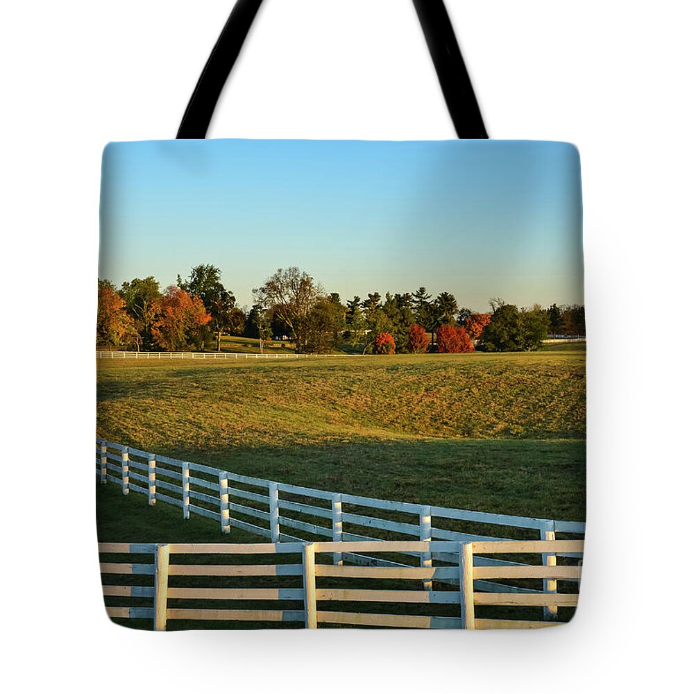 Lexington Tote Bag featuring the photograph Calumet Fencing by Bob Phillips