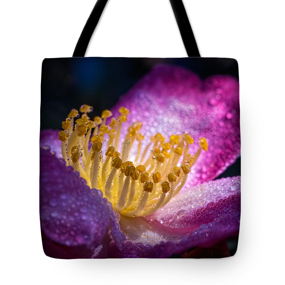 Camellia Tote Bag featuring the photograph Camellia in Light and Shadow by Brad Boland
