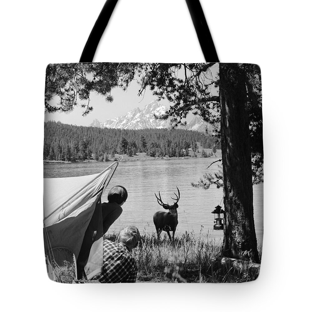 1950s Tote Bag featuring the photograph Campers And Deer, C.1960s by D. Corson/ClassicStock