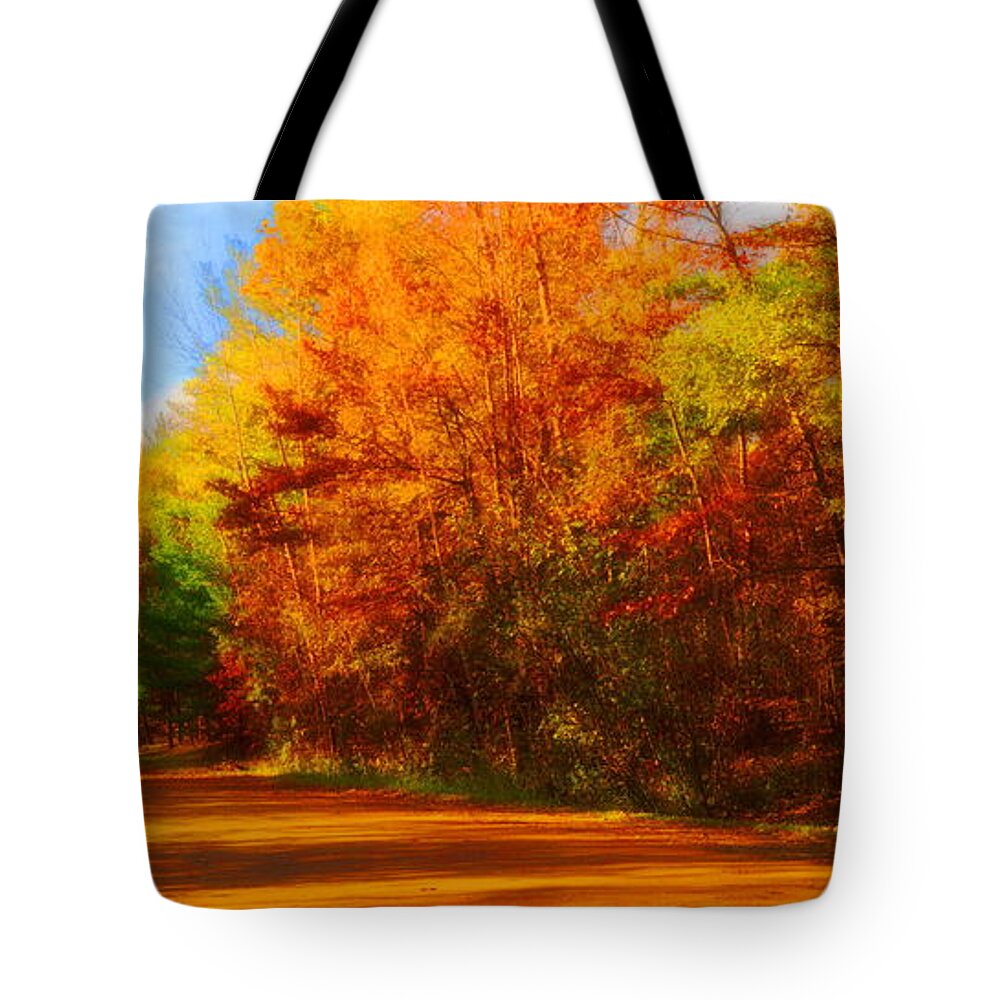 Fall Tote Bag featuring the photograph Campfire Trail Fall by Daniel Thompson