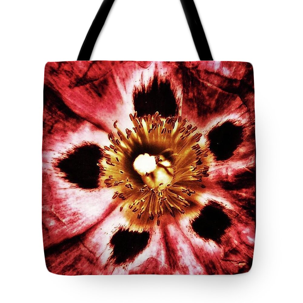 Thedailyflower Tote Bag featuring the photograph Can You Guess What Flower? Hints: It's by Mr Photojimsf