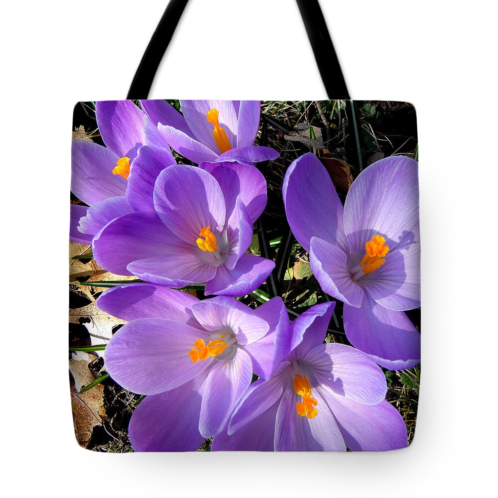 Spring Tote Bag featuring the photograph Can you say PURPLE by Kim Galluzzo Wozniak