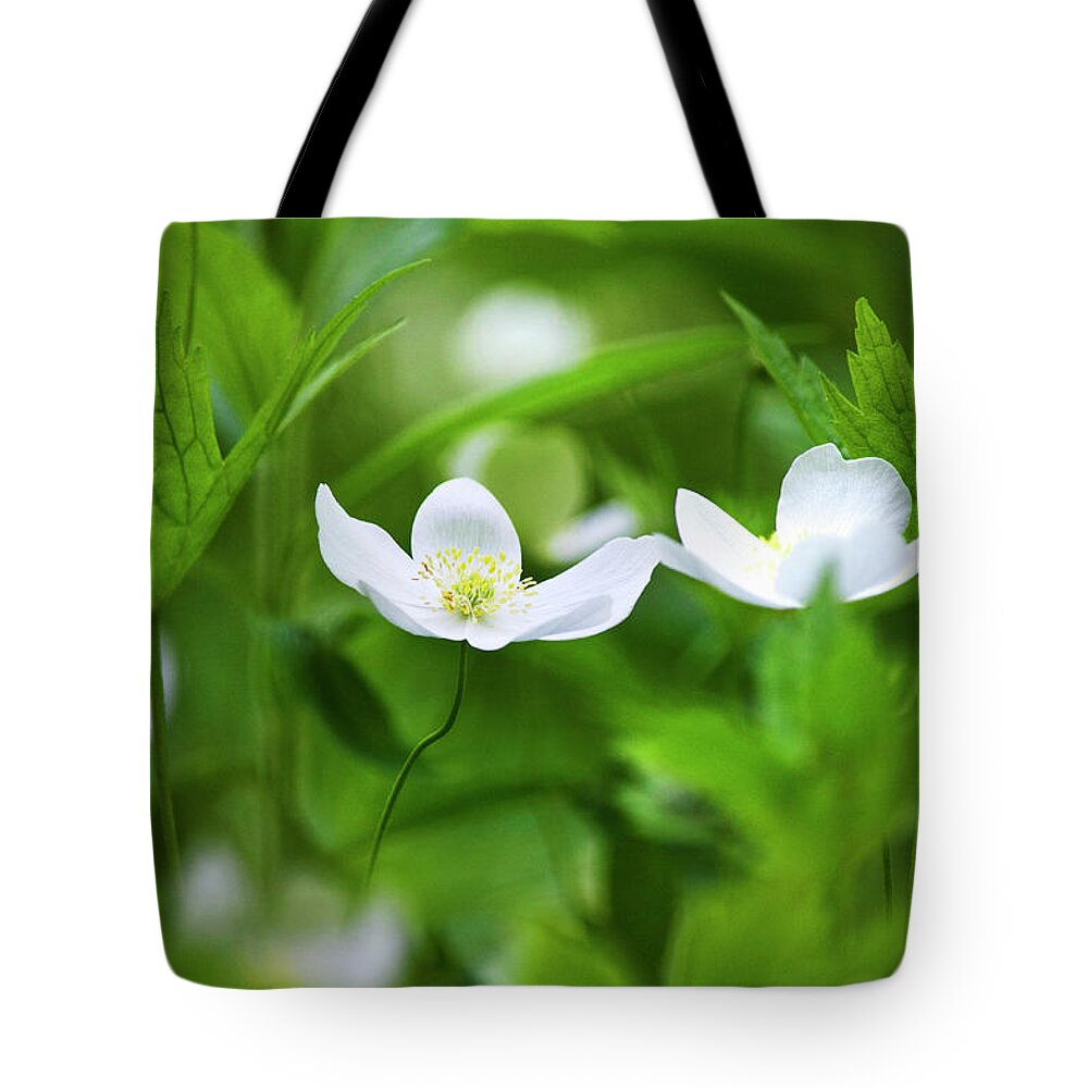 Flowers Tote Bag featuring the photograph Canada Anemone Flowers by Christina Rollo