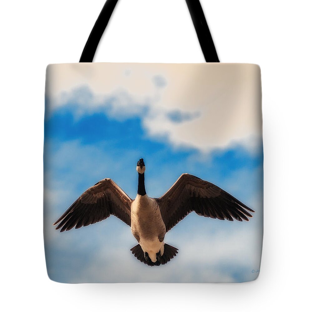 Heron Heaven Tote Bag featuring the photograph Canada Geese In Spring by Ed Peterson