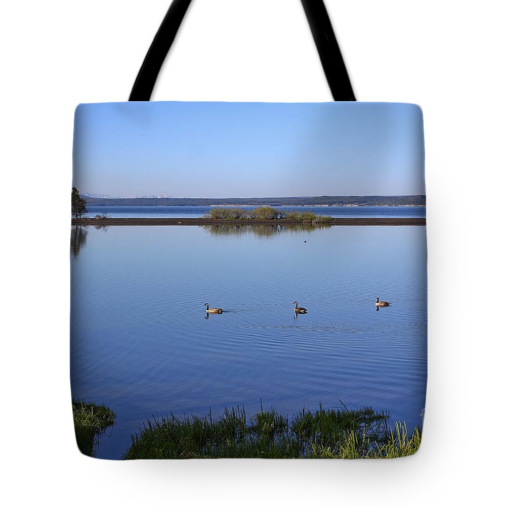 Yellowstone Lake Tote Bag featuring the photograph Canada Geese on Yellowstone Lake by Teresa Zieba