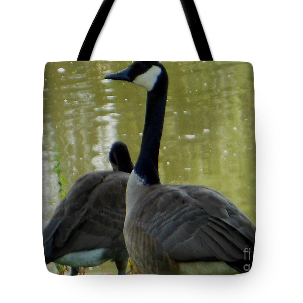Canada Goose Tote Bag featuring the photograph Canada Goose Edge of Pond by Rockin Docks Deluxephotos