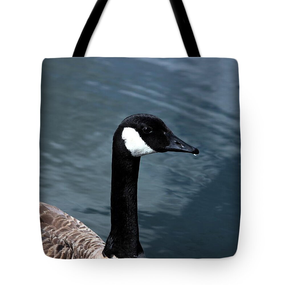 Canada Goose Tote Bag featuring the photograph Canada Goose by Jean Evans