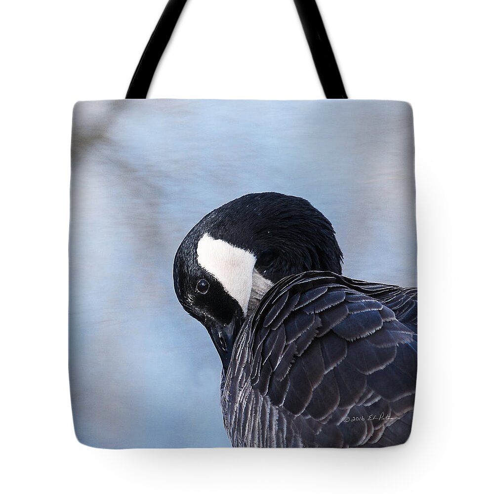 Heron Heaven Tote Bag featuring the photograph Canada Goose Preening 2 by Ed Peterson