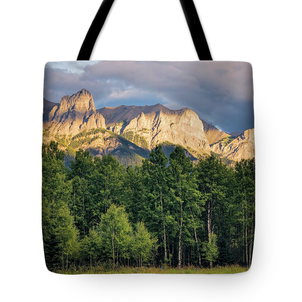 Joan Carroll Tote Bag featuring the photograph Canadian Rockies in Canmore Alberta by Joan Carroll