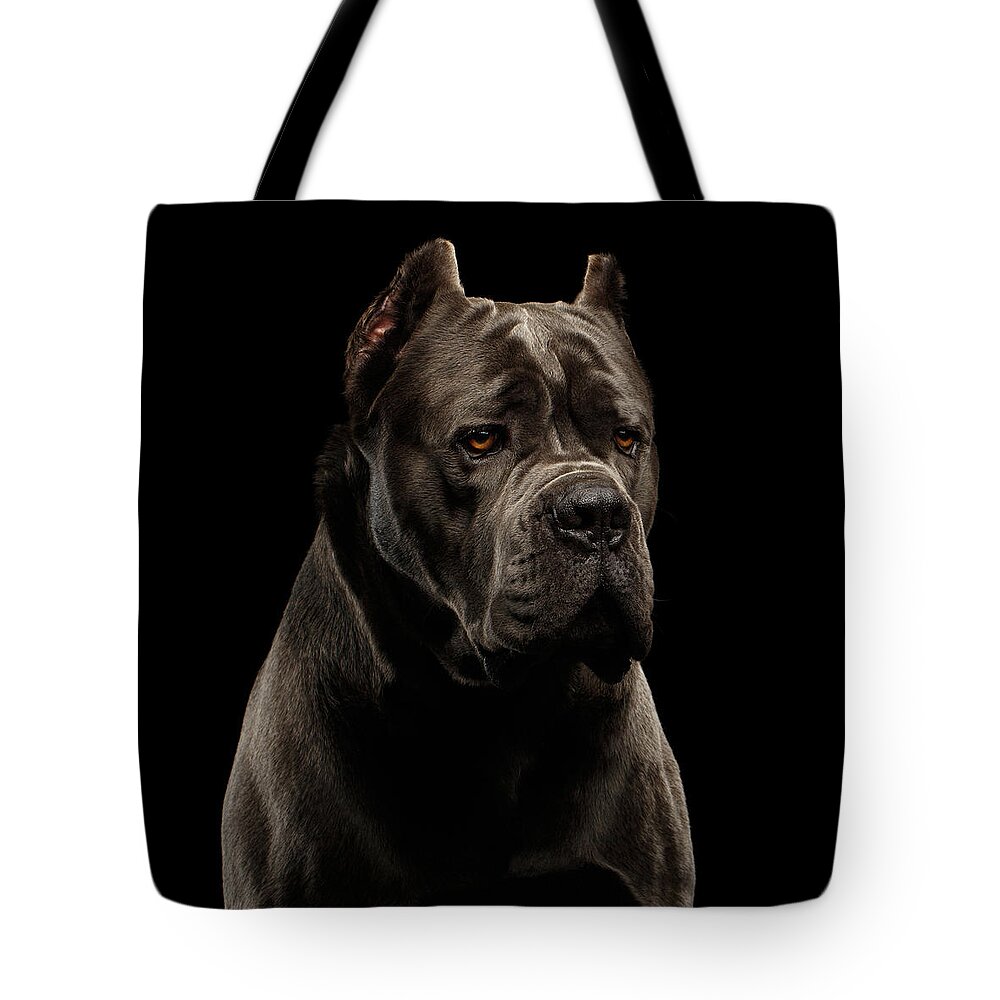 Cane Tote Bag featuring the photograph Cane Corso by Sergey Taran