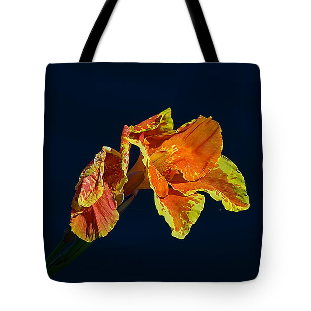 Nature Tote Bag featuring the photograph Canna by Kenneth Albin