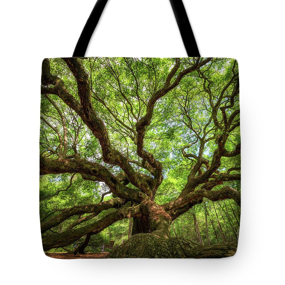Angel Oak Tree Tote Bag featuring the photograph Canopy Of Color at Angel Oak Tree by Michael Ver Sprill
