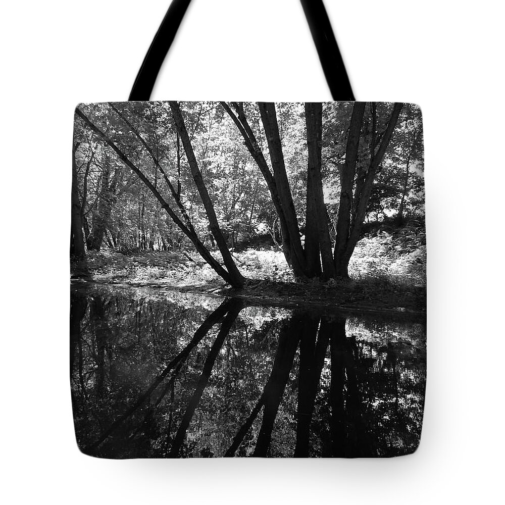 Nature Tote Bag featuring the photograph Canton Canoe Trip 2016 31 by George Ramos