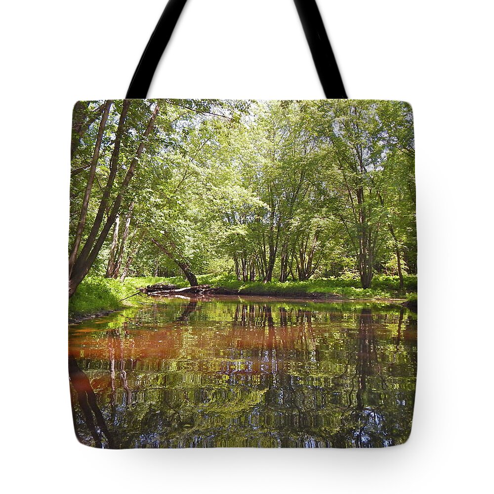 Nature Tote Bag featuring the photograph Canton Canoe Trip 2016 44 by George Ramos
