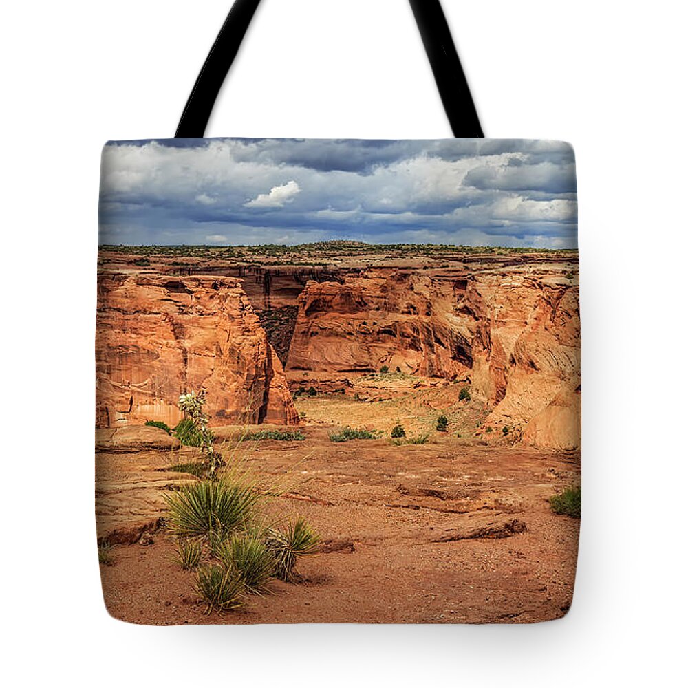 Canyons Tote Bag featuring the photograph Canyon De Chelly by Jaime Miller