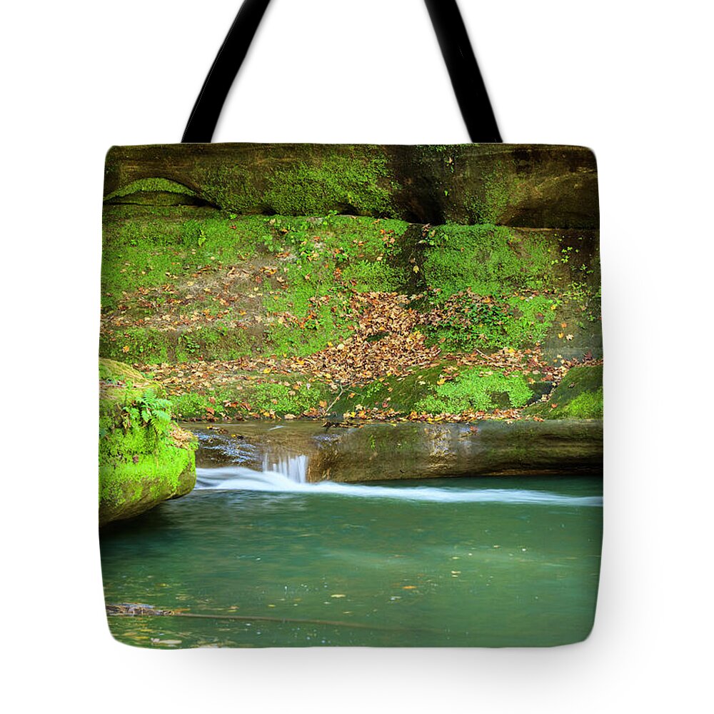 Illinois Tote Bag featuring the photograph Canyon Solitude by Todd Bannor