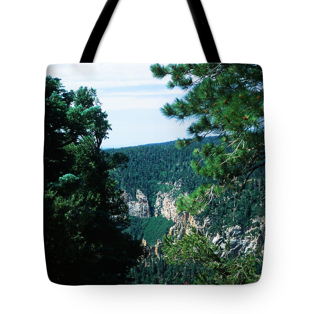 Grand Canyon Tote Bag featuring the photograph Canyon Vista by Kathy McClure