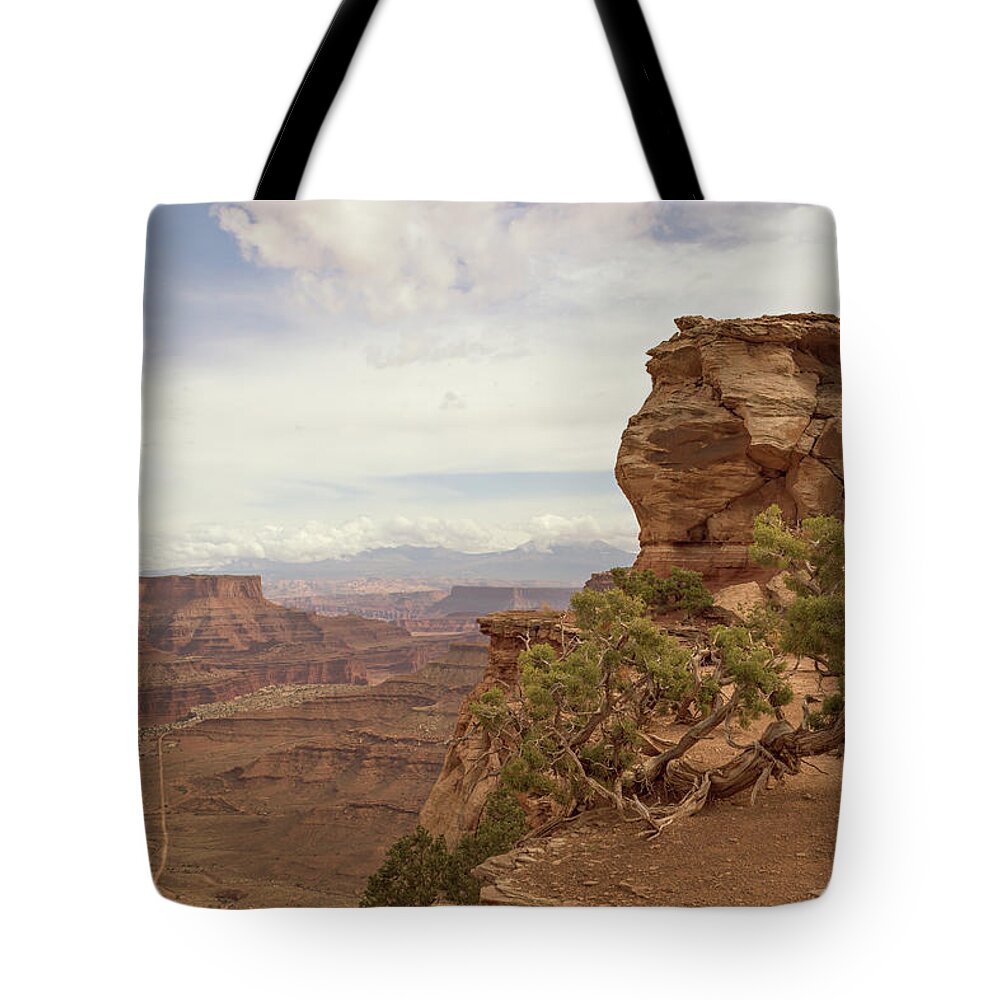 Canyon Tote Bag featuring the photograph Canyonlands Overlook by Peter J Sucy