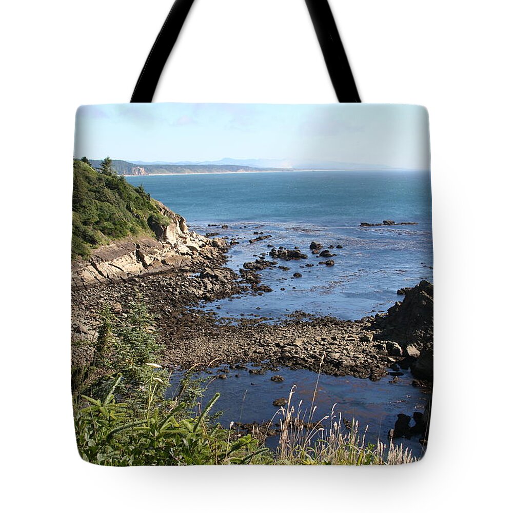 Cape Arago Tote Bag featuring the photograph Cape Arago by Dylan Punke