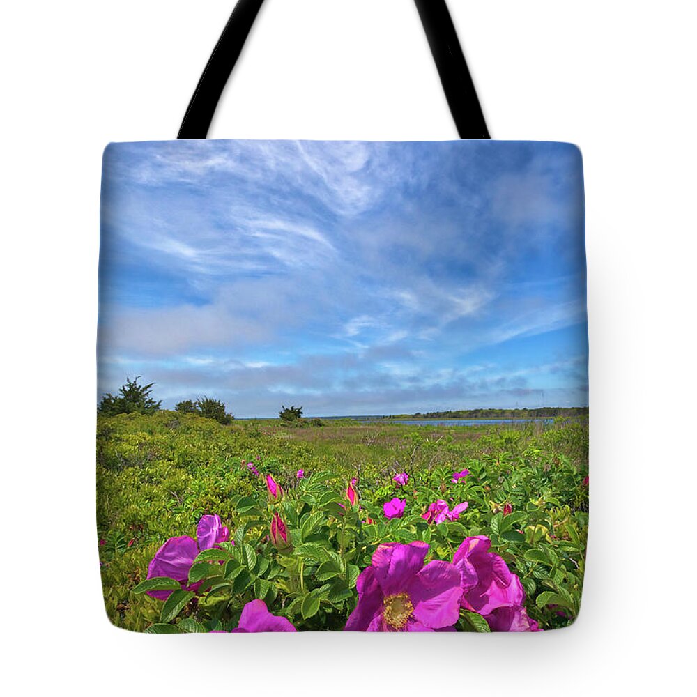 Mashpee National Wildlife Refuge Tote Bag featuring the photograph Cape Cod Wild Roses at the Mashpee National Wildlife Refuge by Juergen Roth