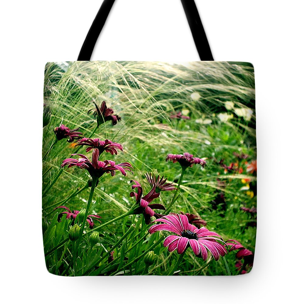 Flora Tote Bag featuring the photograph Cape daisies and angel hair by Susan Baker