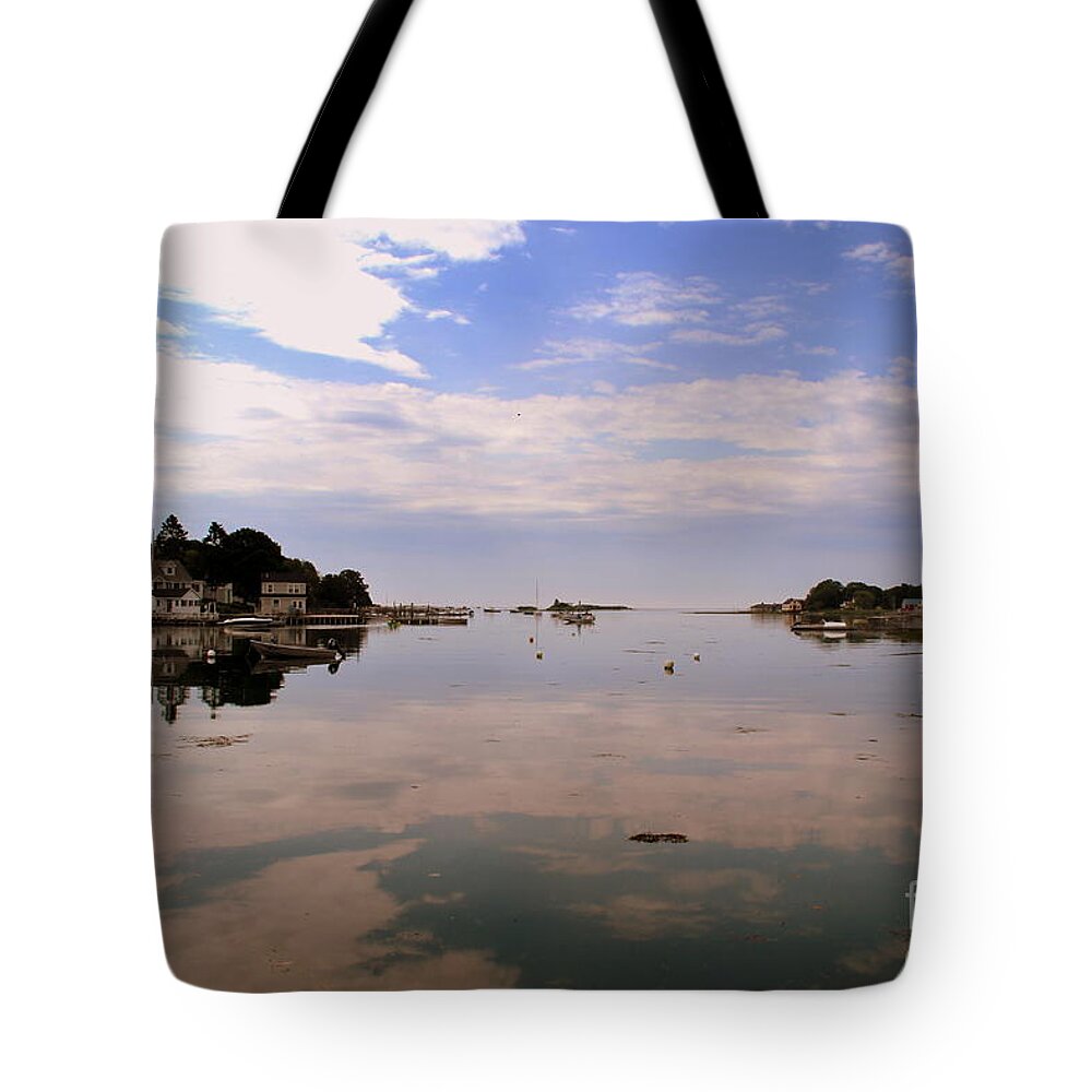 Maine Tote Bag featuring the photograph Cape Porpoise by Lennie Malvone