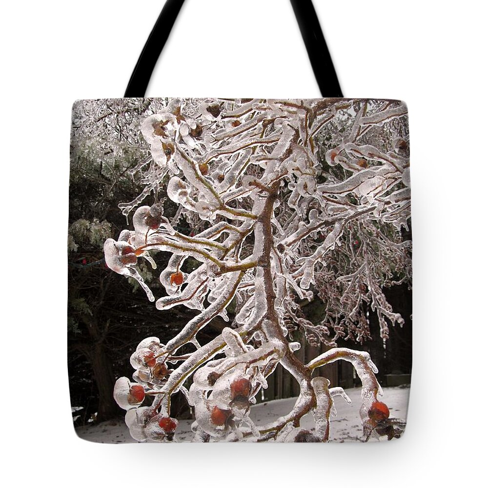 Winter Tote Bag featuring the photograph Captured By Icicle by Alfred Ng