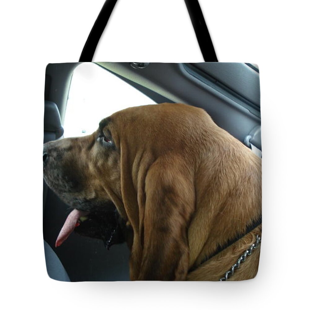 Bloodhound Tote Bag featuring the photograph Car Ride by Val Oconnor