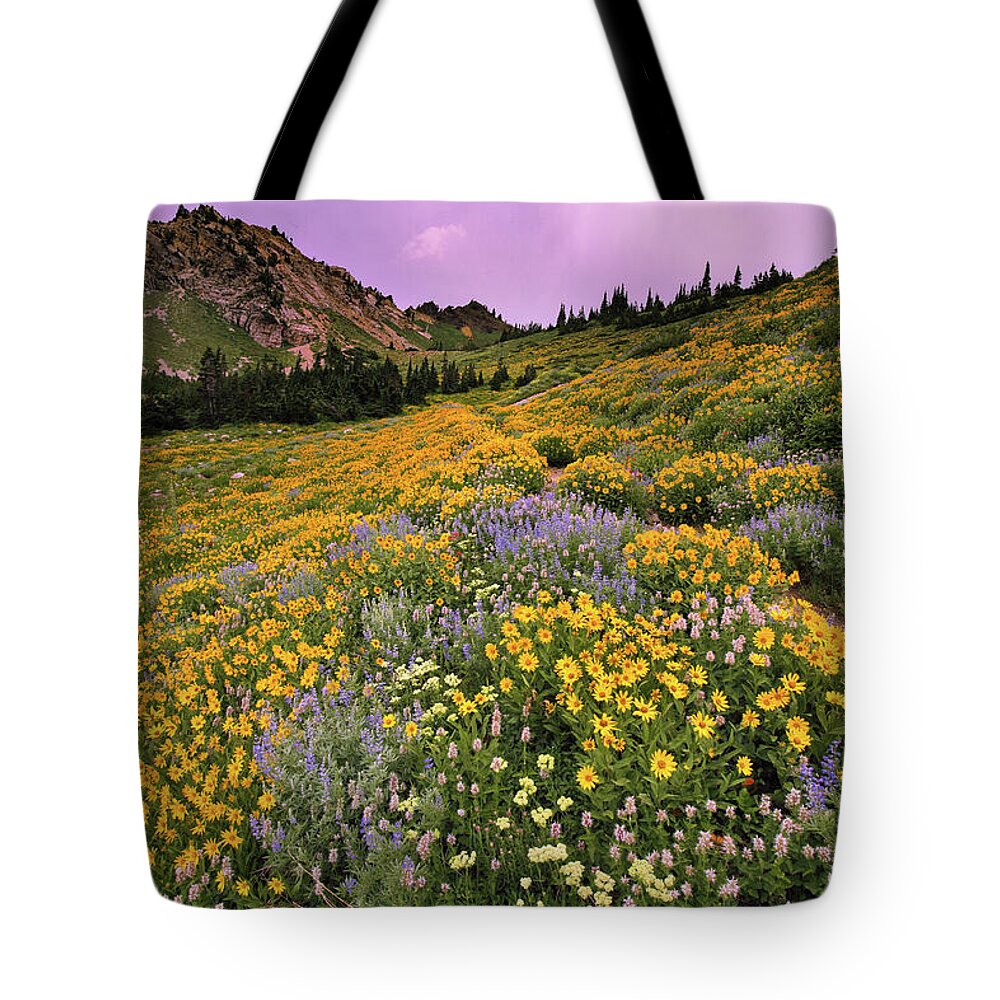 Utah Tote Bag featuring the photograph Cardiff Pass Sunset and Wildflowers - Alta, Utah by Brett Pelletier